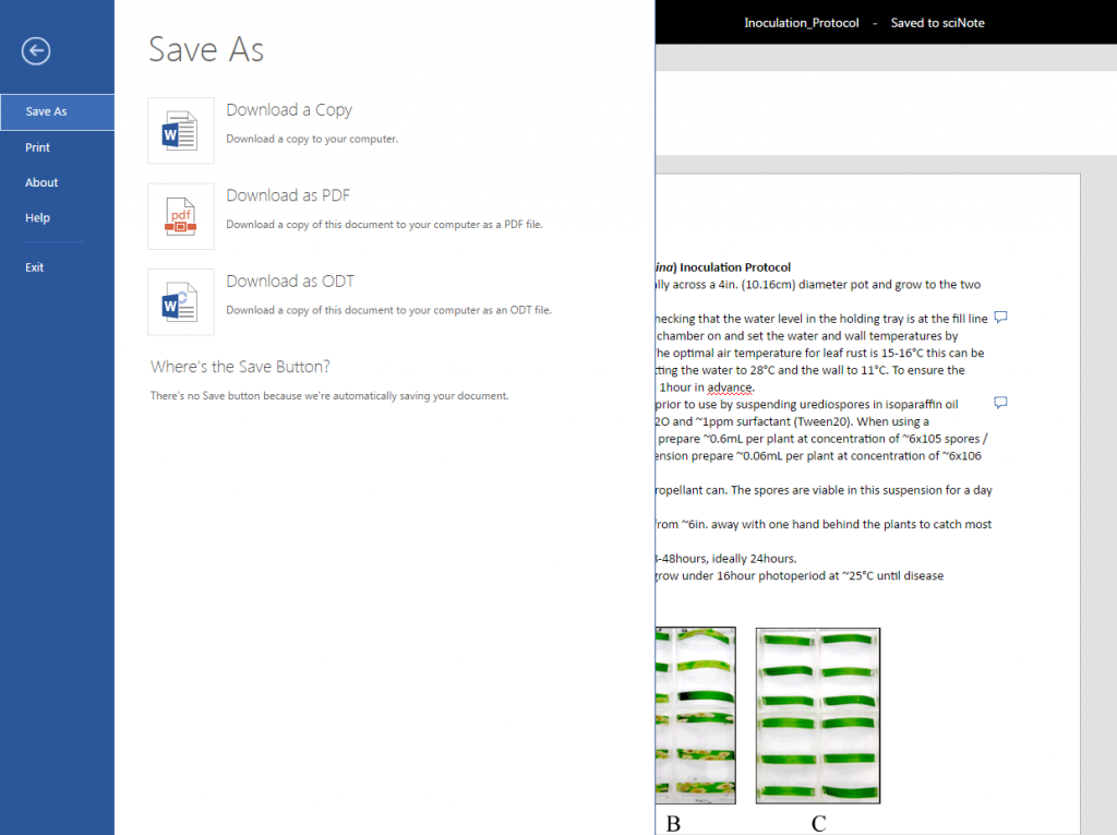 download-or-print-word-online-document