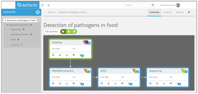 Experiment workflow