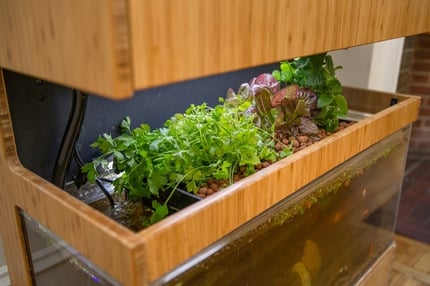 Grove Ecosystem_2