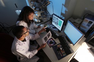 Researchers_1