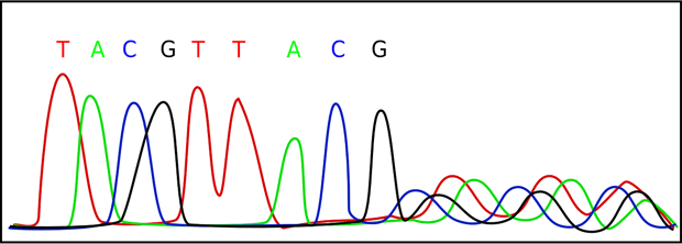 Sequencing