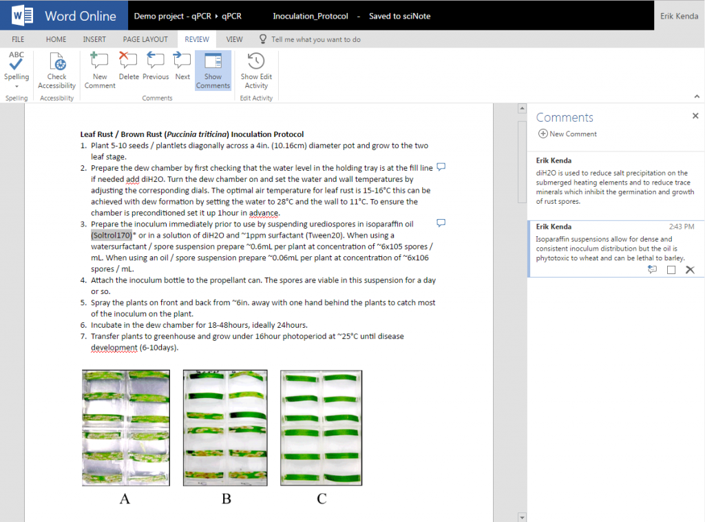 word-online-document