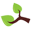 branch
