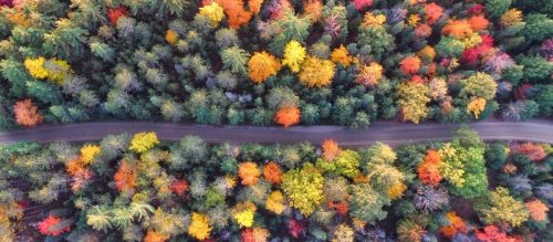 photo-1476842321362-f5bb3a58ab25